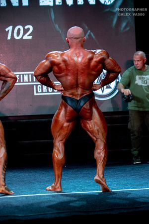 BODYBUILDING 102